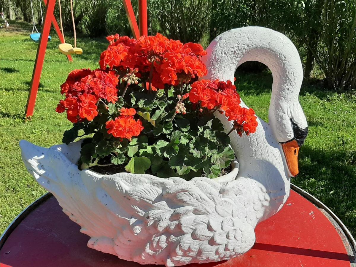 La Cupoletta Holiday House -Magnolia Trevignano Romano Dış mekan fotoğraf